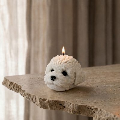 Stormi der Cockapoo