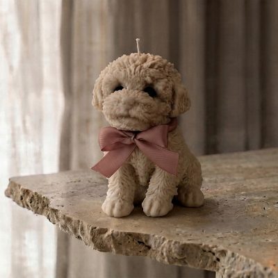 Stormi der Cockapoo Giant